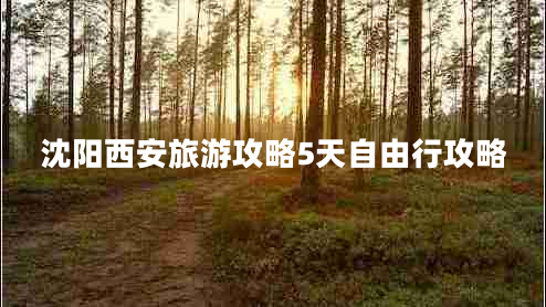 沈陽西安旅游攻略5天自由行攻略