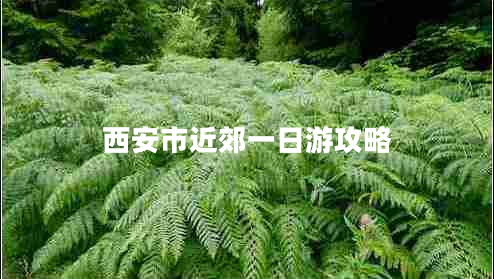 西安市近郊一日游攻略 西安市近郊一日游攻略