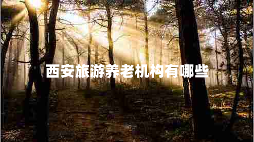 西安旅游養(yǎng)老機(jī)構(gòu)有哪些