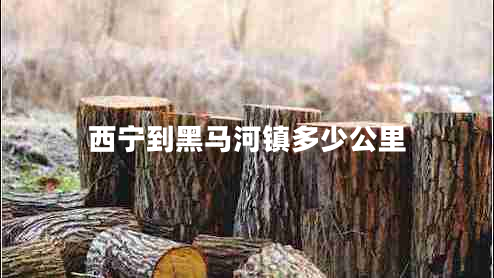西寧到黑馬河鎮(zhèn)多少公里