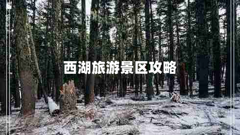 西湖旅游景區(qū)攻略 西湖旅游景區(qū)攻略