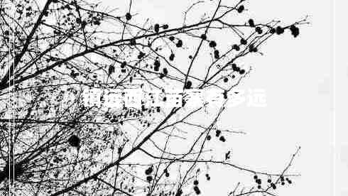 鎮(zhèn)遠(yuǎn)西江苗寨有多遠(yuǎn)