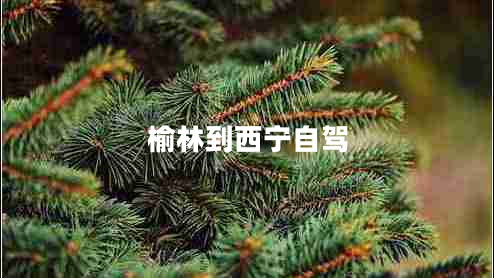 榆林到西寧自駕