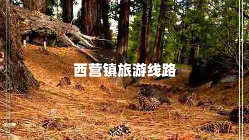 西營(yíng)鎮(zhèn)旅游線路