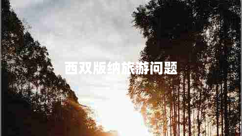 西雙版納旅游問(wèn)題 西雙版納旅游問(wèn)題
