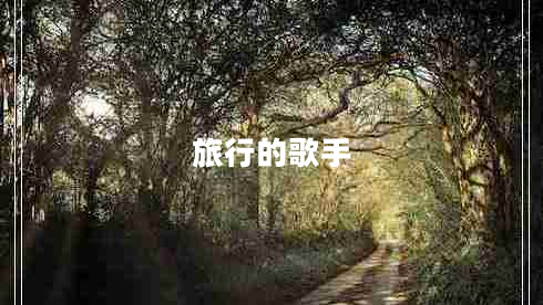 旅行的歌手 旅行的歌手