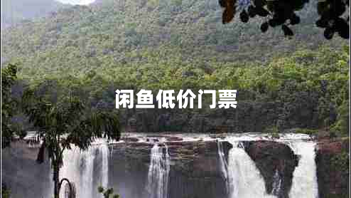 閑魚低價門票 閑魚低價門票