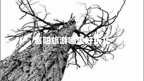 襄陽(yáng)旅游哪里好玩兒 襄陽(yáng)旅游哪里好玩兒