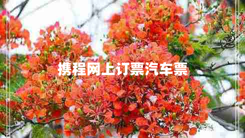 攜程網(wǎng)上訂票汽車票