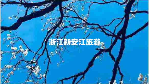 浙江新安江旅游 浙江新安江旅游