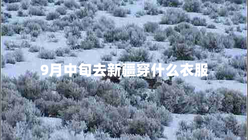 9月中旬去新疆穿什么衣服