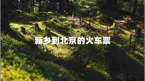 新鄉(xiāng)到北京的火車票 新鄉(xiāng)到北京的火車票