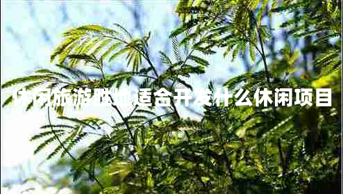 休閑旅游勝地適合開發(fā)什么休閑項(xiàng)目