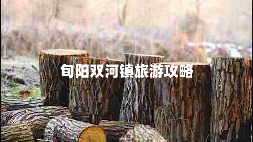 旬陽(yáng)雙河鎮(zhèn)旅游攻略