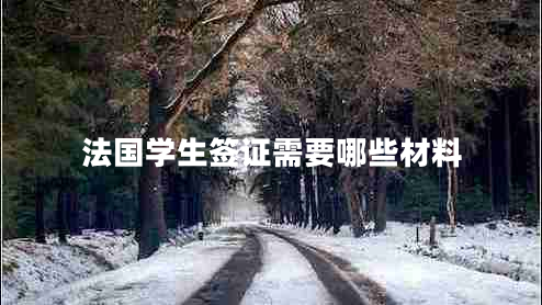 法國學(xué)生簽證需要哪些材料