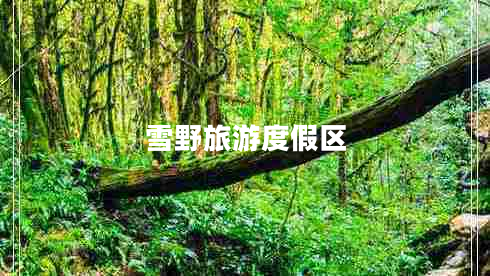 雪野旅游度假區(qū)