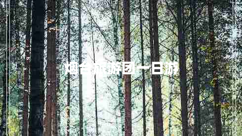 煙臺旅游團(tuán)一日游