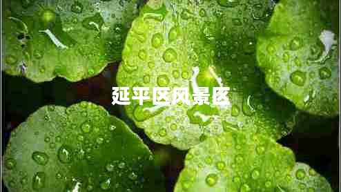 延平區(qū)風景區(qū)