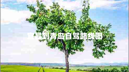 宜昌到青島自駕路線圖