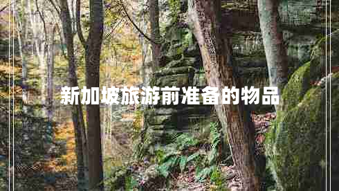 新加坡旅游前準(zhǔn)備的物品