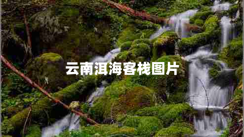 云南洱?？蜅D片