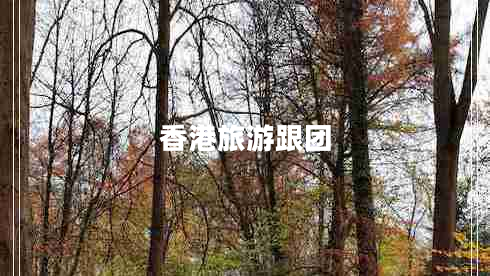 香港旅游跟團(tuán)