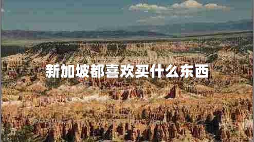 新加坡都喜歡買什么東西