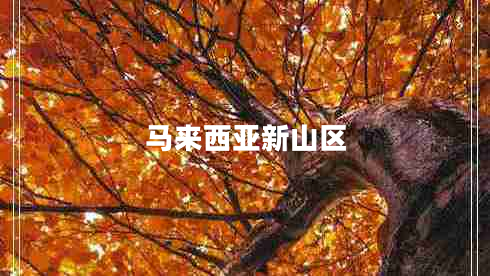 馬來西亞新山區(qū)