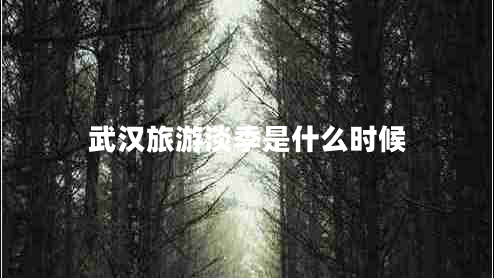 武漢旅游淡季是什么時(shí)候