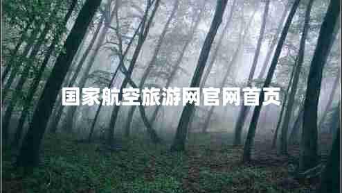 國家航空旅游網(wǎng)官網(wǎng)首頁