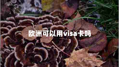 歐洲可以用visa卡嗎