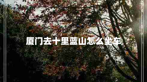 廈門去十里藍(lán)山怎么坐車