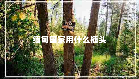 緬甸國家用什么插頭