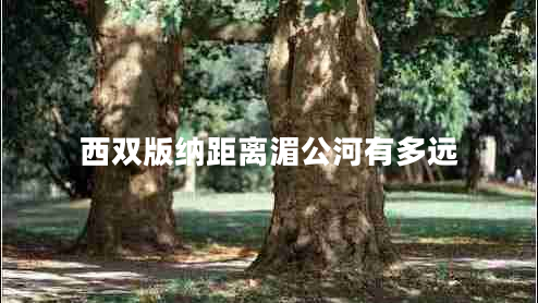 西雙版納距離湄公河有多遠(yuǎn)