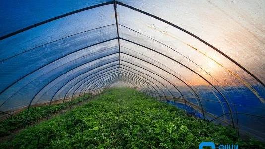 建一個(gè)二畝地的大棚多少錢(qián)