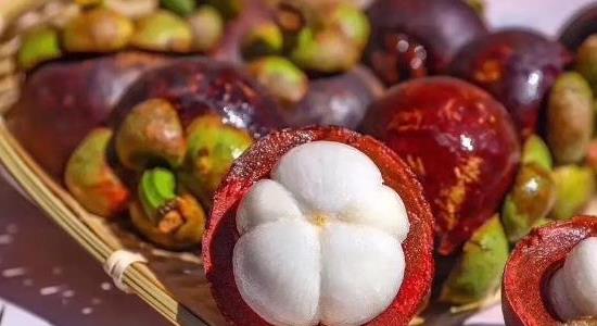 山竹長在土里還是樹上 山竹長在土里還是樹上