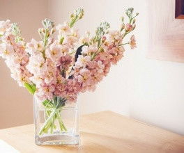 保護花的方法有哪些方面