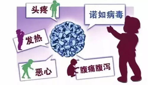 不被病毒傳染的方法有哪些