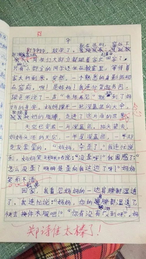 小學(xué)作文都有什么描寫方法有哪些