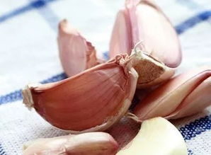 保護血管的方法有哪些