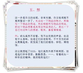 小學生寫文章的方法有哪些內(nèi)容