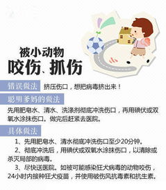 請(qǐng)簡(jiǎn)述挫傷的原因與癥狀及處置方法有哪些