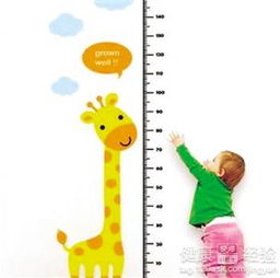 要怎樣才能快速長高的方法有哪些