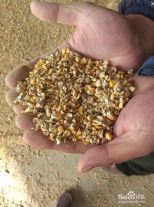 糧食清理的方法有哪些