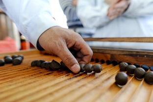 中藥研制的方法有哪些