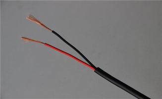 農(nóng)村家庭電線有哪些安裝方法