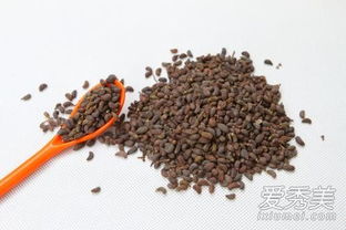 女貞子洗頭有哪些方法