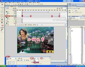 小學(xué)說明方法有哪些舉例說明