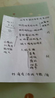 觀察比較方法有哪些