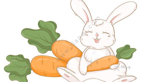 動物的避暑方法有哪些簡筆畫